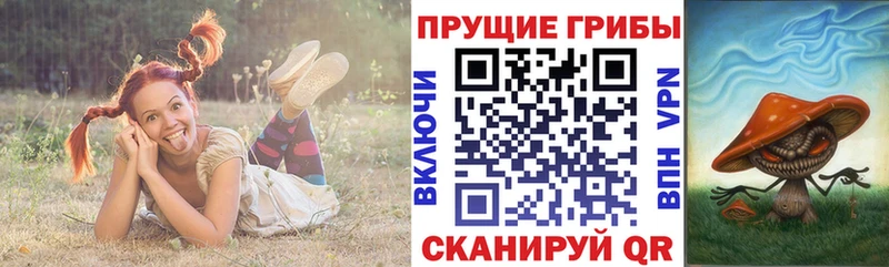 Галлюциногенные грибы прущие грибы ОМГ ОМГ ТОР Старая Русса это как зайти даркнет сайт